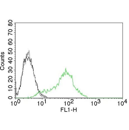 Flow Cytometry - Anti-Ku70 Antibody [KU729] (CF® 488) (A251184) - Antibodies.com