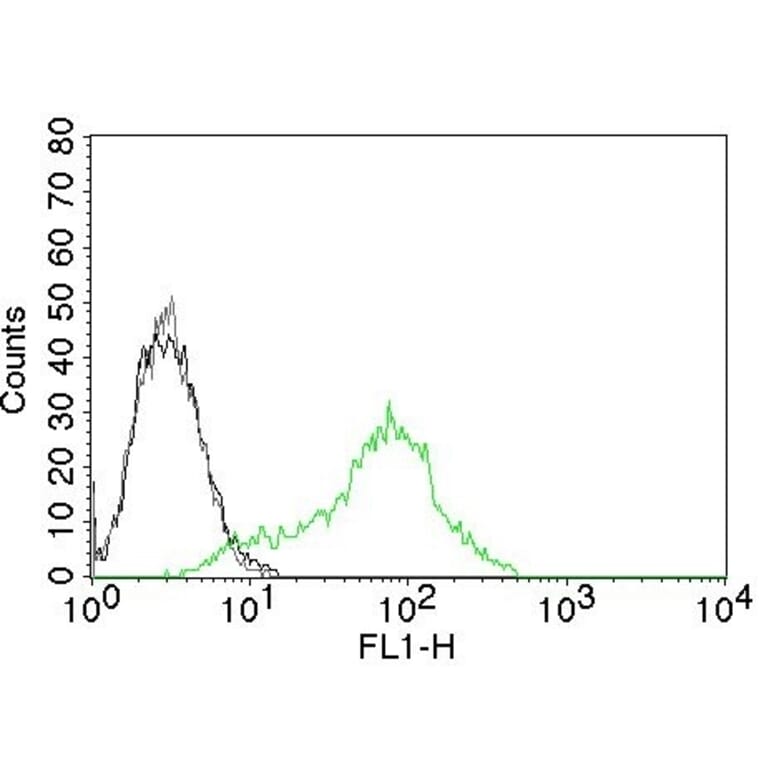 Flow Cytometry - Anti-Ku70 Antibody [KU729] (CF® 488) (A251184) - Antibodies.com