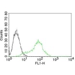 Flow Cytometry - Anti-Ku70 Antibody [KU729] (CF® 488) (A251184) - Antibodies.com