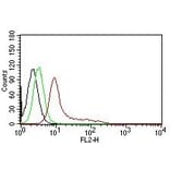 Flow Cytometry - Anti-Ku70 Antibody [KU729] (PE) (A251192) - Antibodies.com