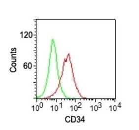 Flow Cytometry - Anti-CD34 Antibody [ICO-115] (PE) (A251193) - Antibodies.com