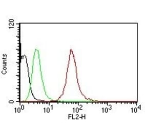 Flow Cytometry - Anti-pan Cytokeratin Antibody [SPM115 + SPM116] (PE) (A251197) - Antibodies.com