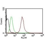 Flow Cytometry - Anti-pan Cytokeratin Antibody [SPM115 + SPM116] (PE) (A251197) - Antibodies.com