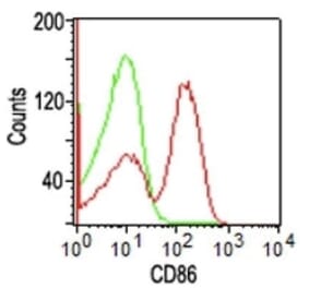 Flow Cytometry - Anti-CD86 Antibody [BU63] (FITC) (A251208) - Antibodies.com