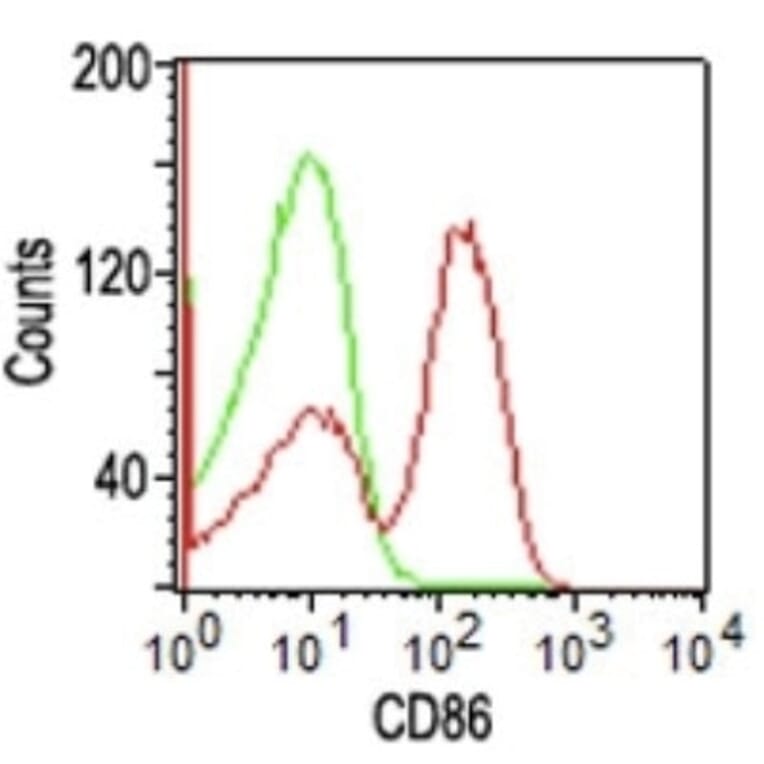 Flow Cytometry - Anti-CD86 Antibody [BU63] (FITC) (A251208) - Antibodies.com