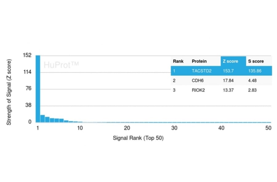 Protein Array - Anti-TROP2 Antibody [TACSTD2/2151] (Biotin) (A251224) - Antibodies.com