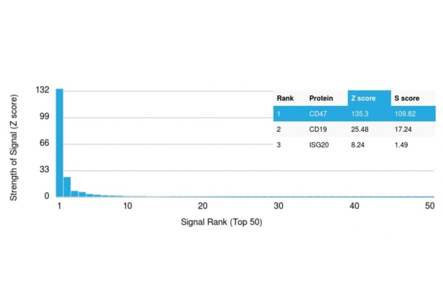 Protein Array - Anti-CD47 Antibody [CD47/3019] (Biotin) (A251233) - Antibodies.com