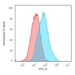 Flow Cytometry - Anti-p27 KIP 1 Antibody [SX53G8] - BSA and Azide free (A251277) - Antibodies.com