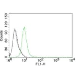 Flow Cytometry - Anti-p27 KIP 1 Antibody [KIP1/769] - BSA and Azide free (A251278) - Antibodies.com