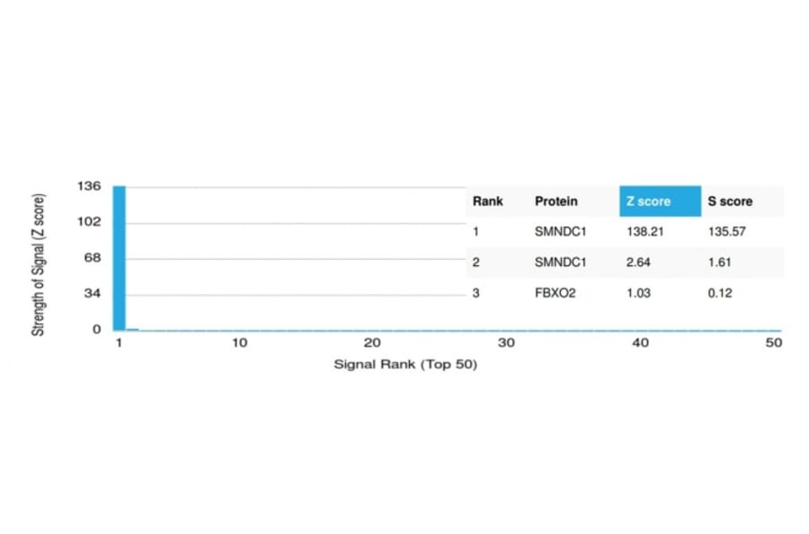 Protein Array - Anti-SMNDC1 Antibody [PCRP-SMNDC1-1A9] - BSA and Azide free (A251281) - Antibodies.com