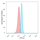 Flow Cytometry - Anti-SPI-C Antibody [PCRP-SPIC-2C5] - BSA and Azide free (A251412) - Antibodies.com