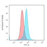 Flow Cytometry - Anti-Calponin 1 Antibody [CALP] - BSA and Azide free (A251419) - Antibodies.com