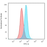Flow Cytometry - Anti-Calponin 1 Antibody [SPM169] - BSA and Azide free (A251420) - Antibodies.com