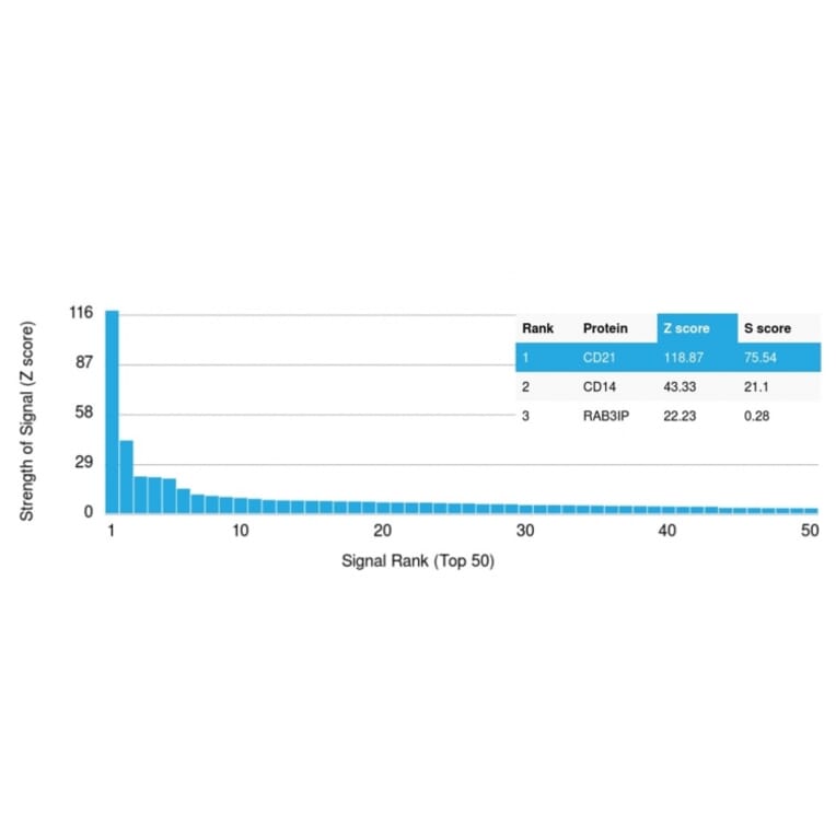 Protein Array - Anti-CD21 Antibody [CR2/1952] - BSA and Azide free (A251444) - Antibodies.com