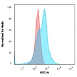 Flow Cytometry - Anti-CD21 Antibody [CR2/3124R] - BSA and Azide free (A251448) - Antibodies.com