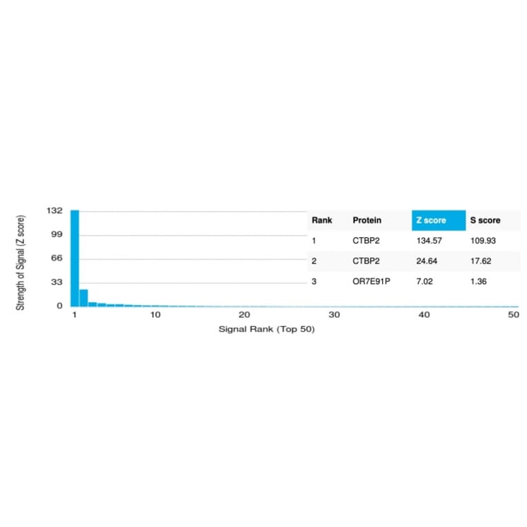 Protein Array - Anti-CTBP2 Antibody [PCRP-CTBP2-2D11] - BSA and Azide free (A251467) - Antibodies.com