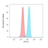 Flow Cytometry - Anti-beta Catenin Antibody [rCTNNB1/1507] - BSA and Azide free (A251473) - Antibodies.com