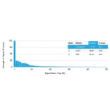 Protein Array - Anti-Cathepsin D Antibody [CTSD/2781] - BSA and Azide free (A251485) - Antibodies.com