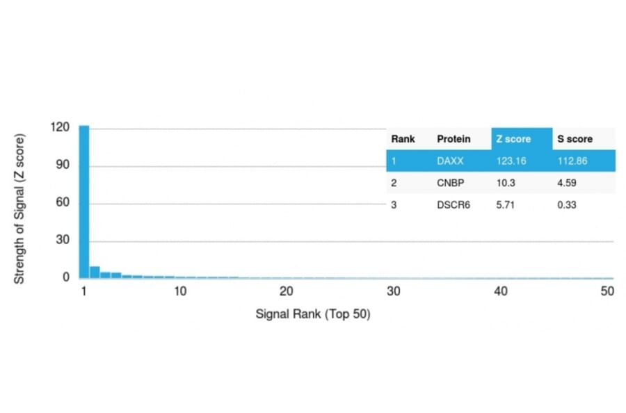 Protein Array - Anti-DAXX Antibody [PCRP-DAXX-8B7] - BSA and Azide free (A251499) - Antibodies.com