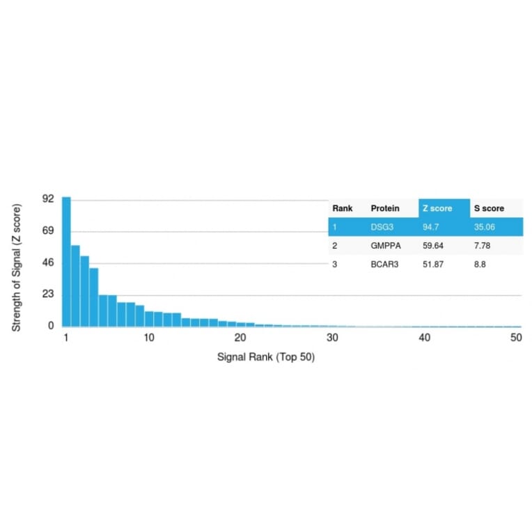 Protein Array - Anti-Desmoglein 3 Antibody [DSG3/2837] - BSA and Azide free (A251558) - Antibodies.com