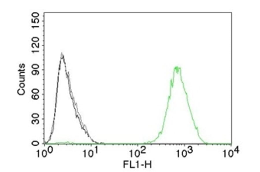 Flow Cytometry - Anti-EGFR Antibody [GFR450] - BSA and Azide free (A251580) - Antibodies.com