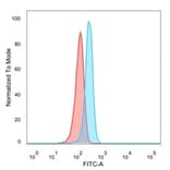 Flow Cytometry - Anti-EIF2S1 Antibody [PCRP-EIF2S1-1C11] - BSA and Azide free (A251595) - Antibodies.com