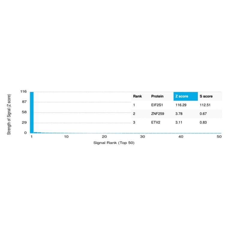 Protein Array - Anti-EIF2S1 Antibody [PCRP-EIF2S1-1E2] - BSA and Azide free (A251595) - Antibodies.com
