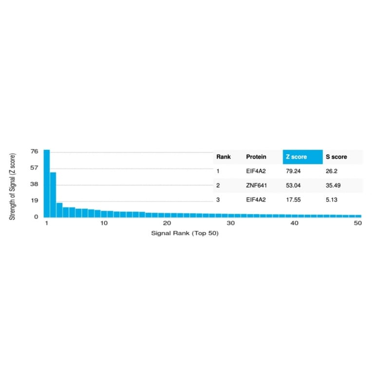 Protein Array - Anti-EIF4A2 Antibody [PCRP-EIF4A2-2B5] - BSA and Azide free (A251596) - Antibodies.com
