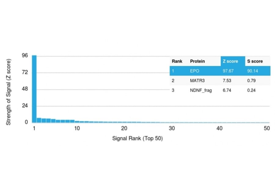 Protein Array - Anti-EPO Antibody [EPO/1367] - BSA and Azide free (A251620) - Antibodies.com