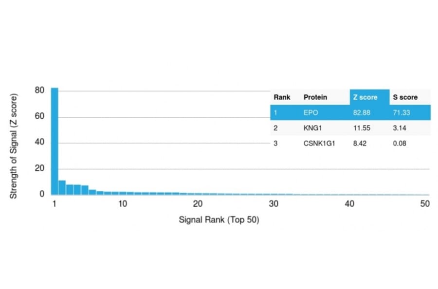 Protein Array - Anti-EPO Antibody [EPO/1368] - BSA and Azide free (A251621) - Antibodies.com