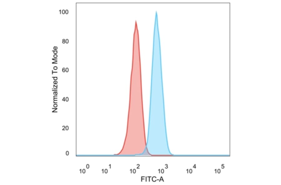 Immunofluorescence - Anti-HER2 Antibody [ERBB2/2452] - BSA and Azide free (A251625) - Antibodies.com