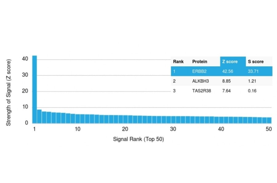 Protein Array - Anti-HER2 Antibody [ERBB2/3078] - BSA and Azide free (A251627) - Antibodies.com