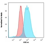 Flow Cytometry - Anti-Estrogen Receptor alpha Antibody [ESR1/3559] - BSA and Azide free (A251662) - Antibodies.com