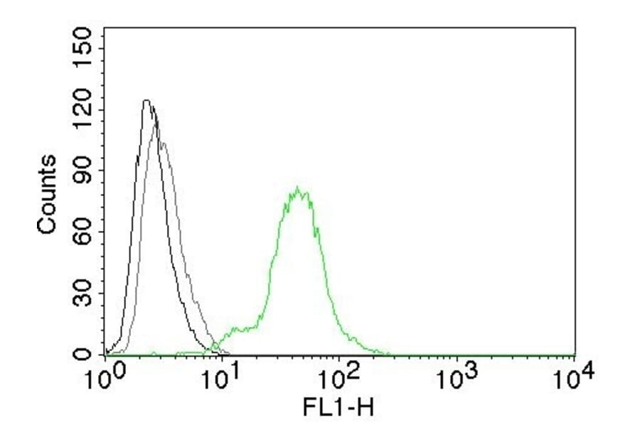 Flow Cytometry - Anti-Estrogen Receptor beta 1 Antibody [ERb455] - BSA and Azide free (A251671) - Antibodies.com