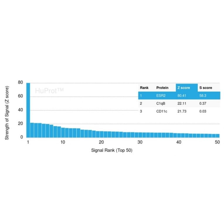 Protein Array - Anti-Estrogen Receptor beta 1 Antibody [ESR2/3005] - BSA and Azide free (A251673) - Antibodies.com