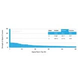 Protein Array - Anti-Estrogen Receptor beta 1 Antibody [ESR2/3005] - BSA and Azide free (A251673) - Antibodies.com