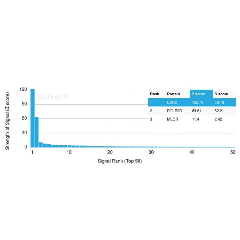 Protein Array - Anti-Estrogen Receptor beta 1 Antibody [ESR2/3207] - BSA and Azide free (A251674) - Antibodies.com