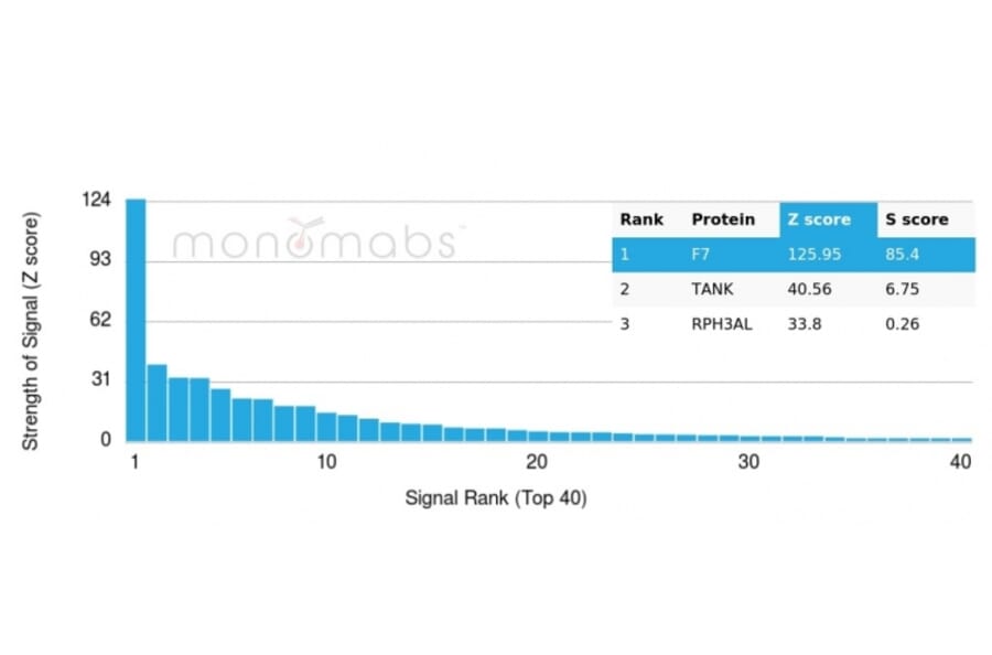 Protein Array - Anti-Coagulation Factor VII Antibody [F7/3516] - BSA and Azide free (A251690) - Antibodies.com