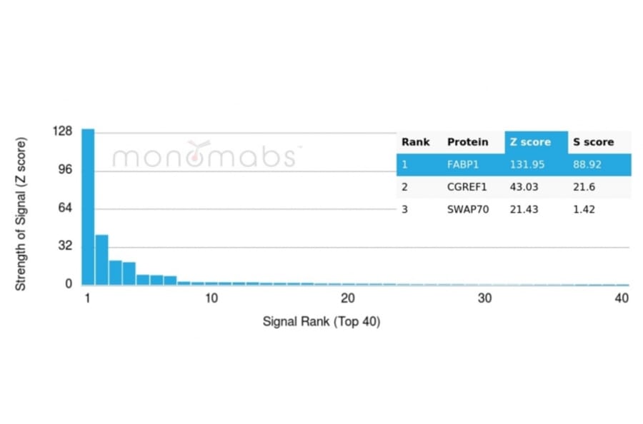 Protein Array - Anti-FABP1 Antibody [FABP1/3484] - BSA and Azide free (A251699) - Antibodies.com