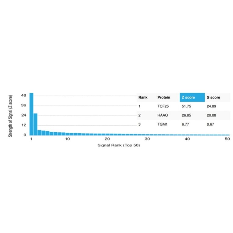 Protein Array - Anti-TCF25 Antibody [PCRP-TCF25-1A11] - BSA and Azide free (A251722) - Antibodies.com