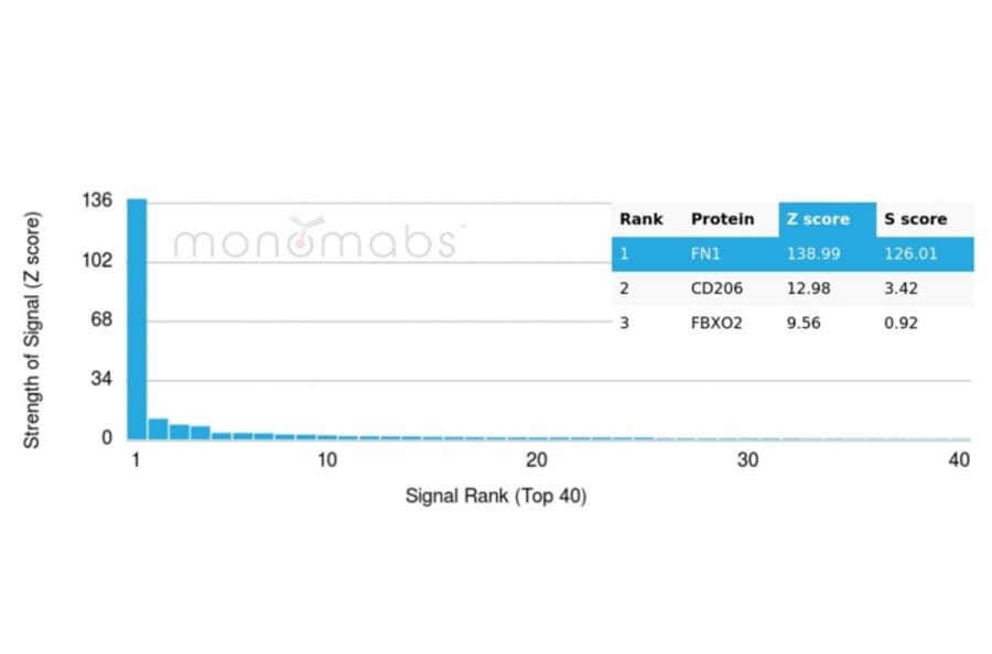 Protein Array - Anti-Fibronectin Antibody [FN1/3568] - BSA and Azide free (A251765) - Antibodies.com