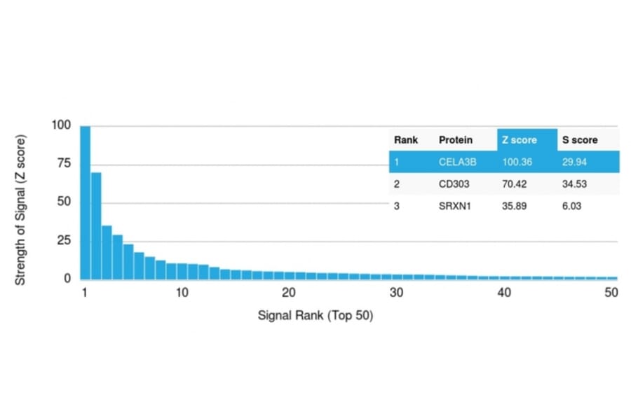 Protein Array - Anti-CELA3B Antibody [CELA3B/1757] - BSA and Azide free (A251780) - Antibodies.com