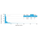 Protein Array - Anti-PSMA Antibody [FOLH1/3734] - BSA and Azide free (A251788) - Antibodies.com