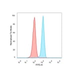 Flow Cytometry - Anti-FRA2 Antibody [PCRP-FOSL2-1B1] - BSA and Azide free (A251792) - Antibodies.com