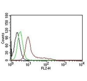 Flow Cytometry - Anti-Ku70 Antibody [KU729] - BSA and Azide free (A251855) - Antibodies.com
