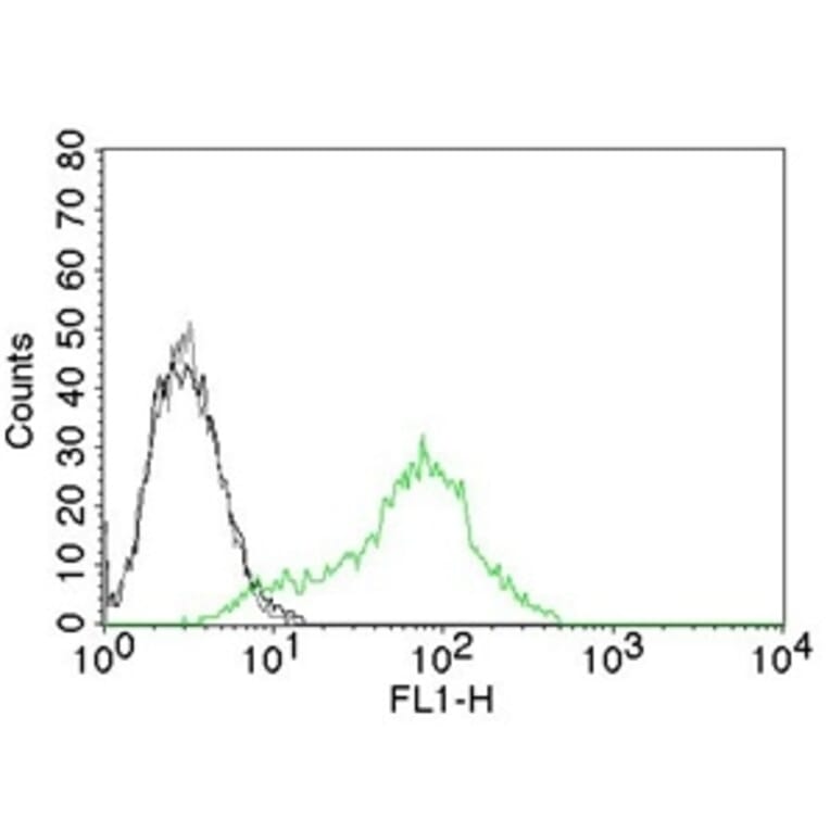 Flow Cytometry - Anti-Ku70 Antibody [KU729] - BSA and Azide free (A251854) - Antibodies.com