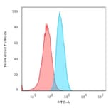 Flow Cytometry - Anti-GAD67 Antibody [GAD1/2563] - BSA and Azide free (A251857) - Antibodies.com