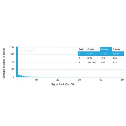 Protein Array - Anti-Kallikrein 5 Antibody [KLK5/3843] - BSA and Azide free (A251860) - Antibodies.com