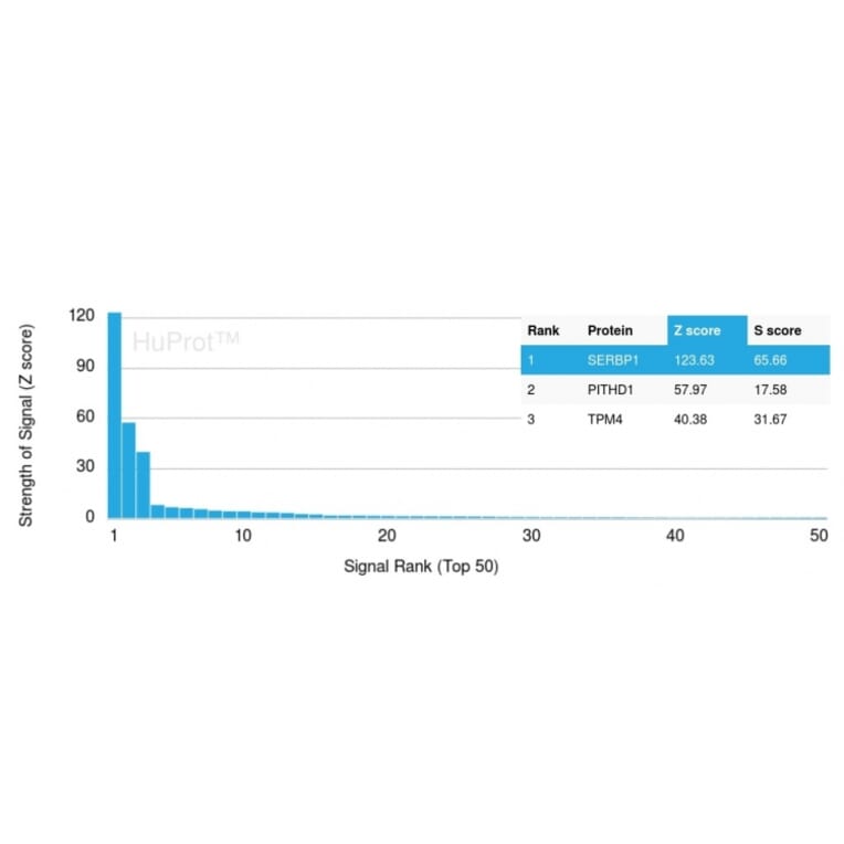 Protein Array - Anti-SERBP1 Antibody [SERBP1/3495] - BSA and Azide free (A251867) - Antibodies.com