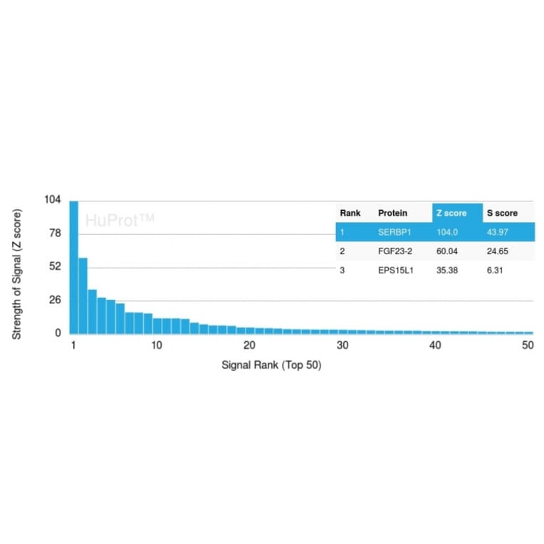 Protein Array - Anti-SERBP1 Antibody [SERBP1/3509] - BSA and Azide free (A251871) - Antibodies.com